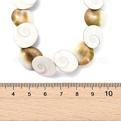 Natural Shiva Eye Shell Beaded Necklaces&nbsp;NJEW-JN06273