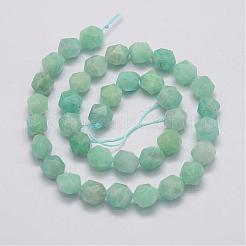 Natural Amazonite Bead Strands&nbsp;G-G970-10-10mm
