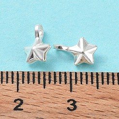 925 Sterling Silver Charms&nbsp;STER-E069-02S