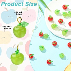 20個 2スタイルの手作りランプワークとアクリルパーツ  りんご  鉄パーツ  ミックスカラー  17.6mm  穴：3.6mm  10個/スタイル&nbsp;PALLOY-CJ00178