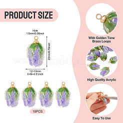 10Pcs Transparent Acrylic Pendants&nbsp;SACR-TA0001-66C