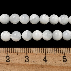 天然石シーシェルビーズ連売り  ラウンド  ゴーストホワイト  5.5mm  穴：1mm  約73個/連  15.35インチ&nbsp;SSHEL-K013-5.5mm-A