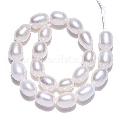 Natural Cultured Freshwater Pearl Beads Strands&nbsp;LS-PEAR-N012-06L