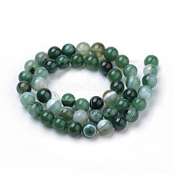 Natural Striped Agate/Banded Agate Beads Strands&nbsp;G-S259-04E-10mm