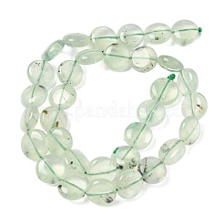 天然石プレナイトビーズ連売り  フラットラウンド  12~13x4.5~5.5mm  穴：1mm  約33個/連  15.75インチ（40cm）&nbsp;G-F790-H03-03