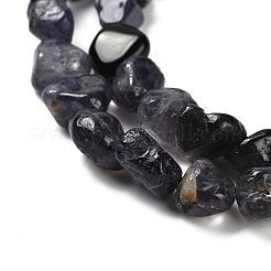 Natural Iolite Beads Strands&nbsp;G-P497-01E-01