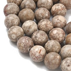 Natural Maifanite/Maifan Stone Beads Strands&nbsp;G-R345-10mm-40-1