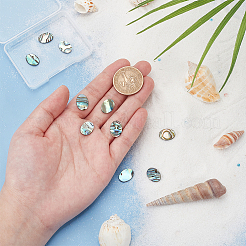 10Pcs Natural Paua Shell Cabochons&nbsp;FIND-BC0005-55