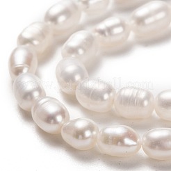 天然養殖淡水パールビーズ連売り  ライス  ビスク  6~9x4~5mm  穴：0.5mm  約45個/連  14.37インチ（36.5cm）&nbsp;PEAR-J005-62
