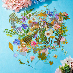 4袋4種類の植物ペット用粘着防水ステッカー  花葉デカール  DIY フォトアルバム日記スクラップブック装飾用  ミックスカラー  25~123x20~69x0.1mm  1バッグ/スタイル&nbsp;DIY-TA0009-84