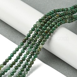 Natural African Jade Beads Strands&nbsp;G-K365-C08-01