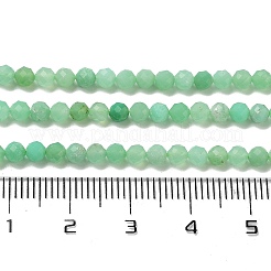 Natural Chrysoprase Beads Strands&nbsp;G-B088-C19-03