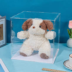 Acrylic Display Boxes&nbsp;CON-WH0123-27B