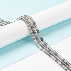 天然石のイーグルアイストーンビーズ連売り  ヒシビーズ  フラットラウンド/ディスク  4x2.50mm  穴：0.70mm&nbsp;G-H230-46
