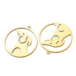 201 Stainless Steel Pendants&nbsp;SA-CBA49C1-07G