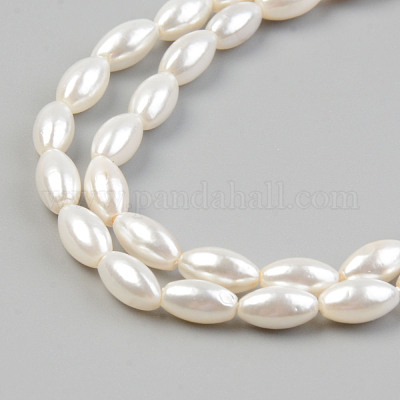 Natural Freshwater Shell Beads Strands&nbsp;SHEL-T017-12-1
