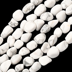 Natural Howlite Beads Strands&nbsp;G-C286-A20