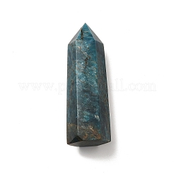 Natural Apatite Display Decoration&nbsp;LS-G-E137-01C