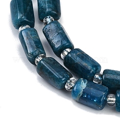 Natural Apatite Beads Strands&nbsp;G-G162-D10-01