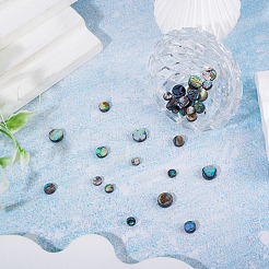 30Pcs 3 Styles Natural Paua Shell Beads&nbsp;BSHE-TA0001-36