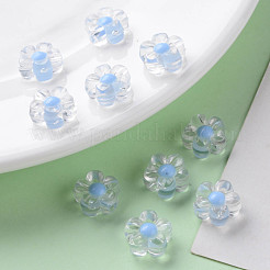 Transparent Acrylic Beads&nbsp;TACR-S152-06A-SS2113