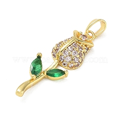 Brass Micro Pave Colorful Cubic Zirconia Pendants&nbsp;CU-CBA5B4D-02G