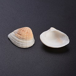 シリコンモールドジュエリーセット  シェルビーズ付き  3ml使い捨てプラスチックスポイト  透明フェイシャルマスクスティックとシリコン攪拌棒  ミックスカラー  57x57x53mm  インナーサイズ：50x50mm&nbsp;DIY-YX0001-05