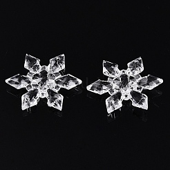 Transparent Acrylic Connector Charms&nbsp;TACR-T028-04C