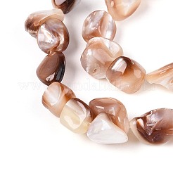 天然石シーシェルビーズ連売り  ナゲット  ペルー  9~21x7.5~24x3~12mm  穴：0.5~0.7mm  約28~34個/連  14.57~15.35インチ（37~39cm）&nbsp;SSHEL-N041-02B
