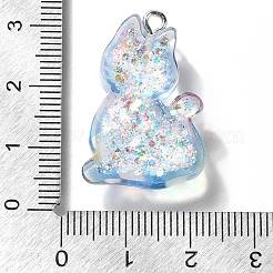 Transparent Resin Pendants&nbsp;RESI-Q019-01E