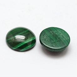 Natural Malachite Cabochons&nbsp;G-O146-03E