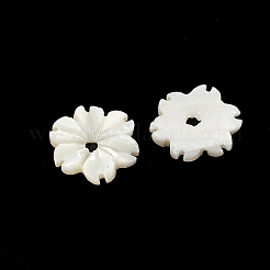 Natural Trochus Shell Flower Charms&nbsp;SHEL-K006-46B