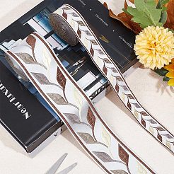 10M 2 Styles Embroidery Polyester Ribbon&nbsp;OCOR-GF0002-67B