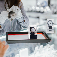 2Pcs 2 Colors Rectangle Plastic Single Watch Display Cases&nbsp;CON-PH0003-15