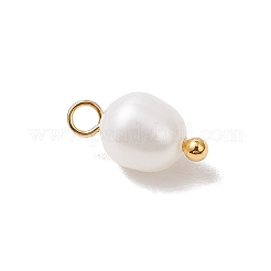 天然養殖淡水真珠ライスチャーム  真鍮ボールループ付き  乳白色  ゴールドカラー  11~11.5x5.5~6mm  穴：1.7~2mm&nbsp;PALLOY-JF04187-02
