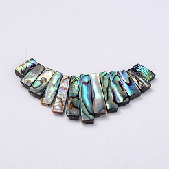 Rectangle Natural Abalone Shell/Paua ShellGraduated Beads Strands&nbsp;SSHEL-P002-05