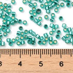 Glass Seed Beads&nbsp;X-SEED-S042-04B-29