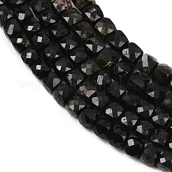 Natural Black Tourmaline Beads Strands&nbsp;X-G-P612-B01-01