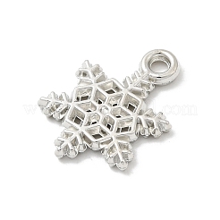CCB Plastic Pendants&nbsp;CCB-I007-08P