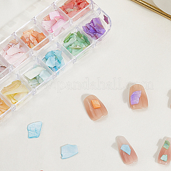 1 Set 12 Grid Nuggets Abalone Shell Nail Art Sequins for Woman Girls&nbsp;MRMJ-SP0001-06