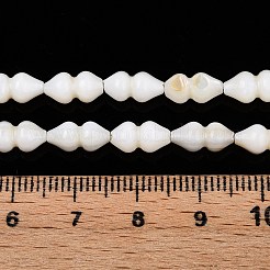 天然淡水シェルビーズ連売り  ひょうたん形  貝殻色  8.5~10.5x4.5~5.5mm  穴：0.8mm  約37個/連  14.37~14.76インチ（36.5~37.5cm）&nbsp;SHEL-N036-02