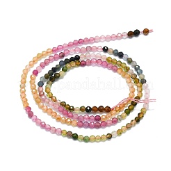 Natural Multicolor Tourmaline Beads Strands&nbsp;G-P457-A01-14F