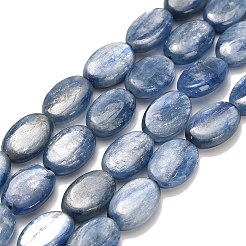 Natural Kyanite Beads Strands&nbsp;G-H335-D01-8x12mm