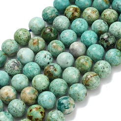 Natural Peruvian Turquoise(Jasper) Beads Strands&nbsp;G-L642-B08-8mm