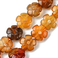 天然石赤瑪瑙ビーズ連売り  花  14x14x5.5mm  穴：1.2mm  約29個/連  14.80''（37.6センチメートル）&nbsp;G-H023-B21-01