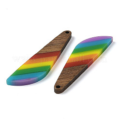 Pride Rainbow Theme Resin & Walnut Wood Pendants&nbsp;WOOD-K012-12B
