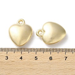 CCB Plastic Pendants&nbsp;CCB-C001-09E-G