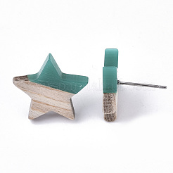 Resin & Wood Stud Earrings&nbsp;EJEW-N017-001A-C02