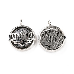 Natural Snowflake Obsidian Locket Pendants&nbsp;G-G982-01P-09