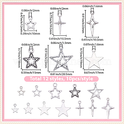 120pcs12スタイルチベットスタイルアロイペンダント  スターのチャーム  アンティークシルバー  12~27.5x9.5~20.5x1~2mm  穴：1.5~3mm  10個/スタイル&nbsp;FIND-BM0001-48